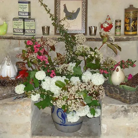 Oda ve Kahvaltı La Maison De Leopold Terrasson