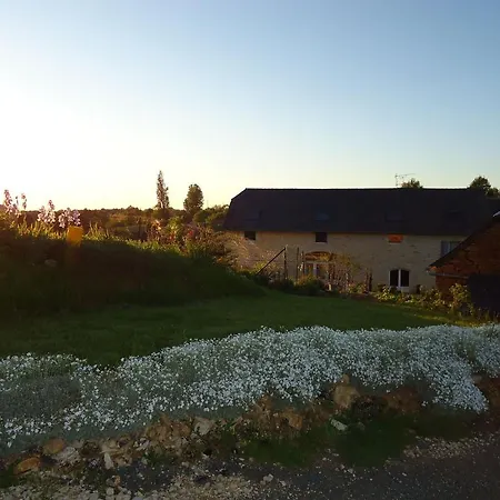 La Maison De Léopold *