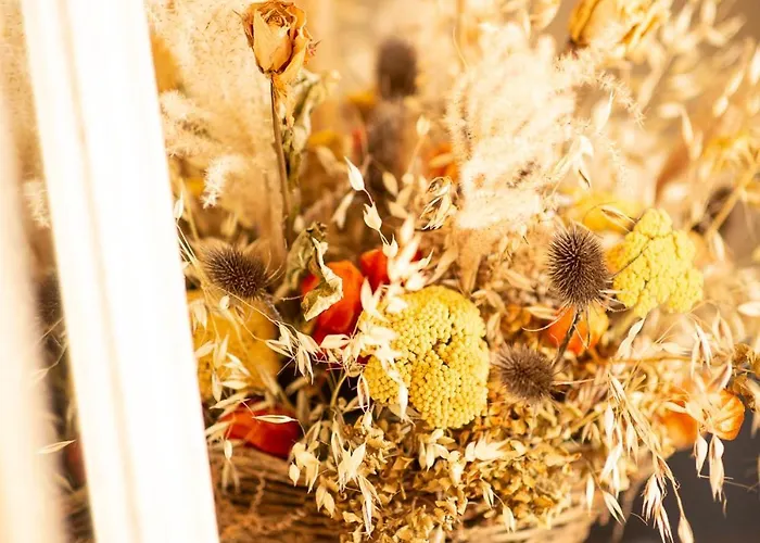 Frühstückspension La Maison De Leopold